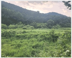  2025Ÿ��107  ����