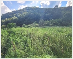  2025Ÿ��107  ����