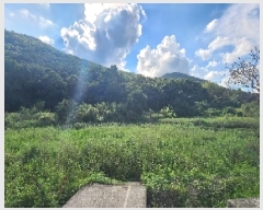  2025Ÿ��107  ����