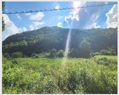  2025Ÿ��107  ����