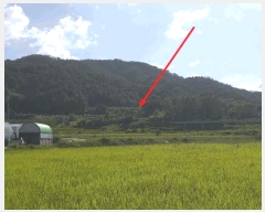  2025Ÿ��111  �����