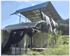  2025Ÿ��111  �����