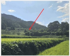  2025Ÿ��111  �����