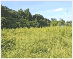  2025Ÿ��111  �����