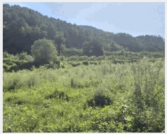  2025Ÿ��111  �����