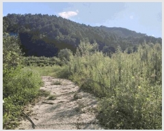  2025Ÿ��111  �����