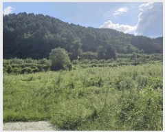  2025Ÿ��111  �����