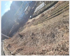  2025Ÿ10036  õ ϸ  340      ()