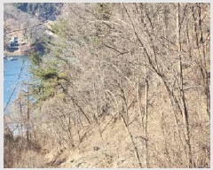  2025Ÿ10036  õ ϸ  340      ()