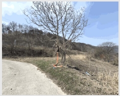  2025Ÿ10114   õ 縮 1043-3      (1)