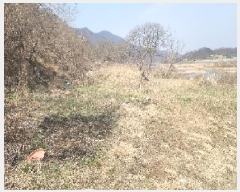  2025Ÿ10114   õ 縮 1043-3      (1)