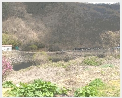  2025Ÿ��10117  ���������