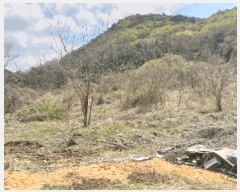  2025Ÿ��10117  ���������