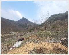  2025Ÿ��10117  ���������