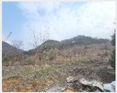  2025Ÿ��10117  ���������