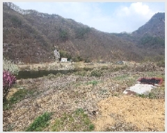  2025Ÿ��10117  ���������