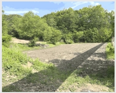  2025Ÿ��10125 ��� ������ �Ű�� ���̸� 83      ����(��1)���