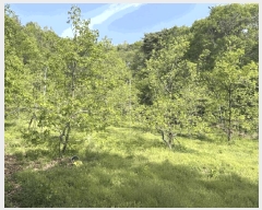  2025Ÿ��10125 ��� ������ �Ű�� ���̸� 83      ����(��1)���