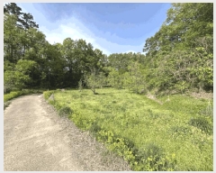  2025Ÿ��10125 ��� ������ �Ű�� ���̸� 83      ����(��1)���