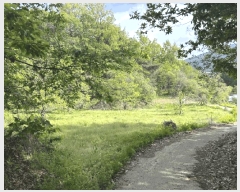  2025Ÿ��10125 ��� ������ �Ű�� ���̸� 83      ����(��1)���