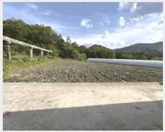  2025Ÿ��10125 ��� ������ �Ű�� ���̸� 83      ����(��1)���