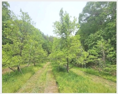  2025Ÿ��10125 ��� ������ �Ű�� ���̸� 83      ����(��1)���