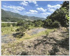  2025Ÿ��10137  �����