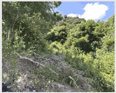  2025Ÿ��10137  �����