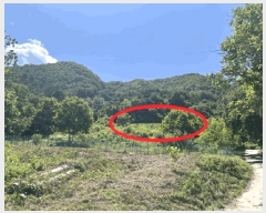  2025Ÿ��10137  �����