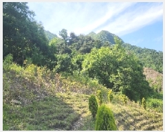  2025Ÿ��10137  �����