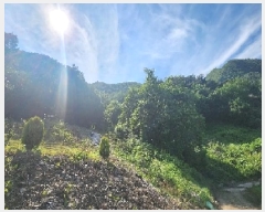  2025Ÿ��10137  �����