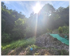  2025Ÿ��10137  �����