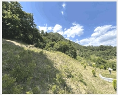  2025Ÿ��10137  �����