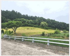  2025Ÿ��10148  �������