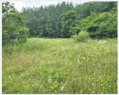  2025Ÿ��10148  �������