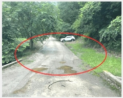  2025Ÿ��10163 ��� ��õ�� �ȳ��� ��縮 515      ����(��1)���