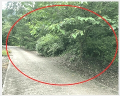  2025Ÿ��10163 ��� ��õ�� �ȳ��� ��縮 515      ����(��1)���