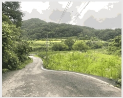  2025Ÿ��10163 ��� ��õ�� �ȳ��� ��縮 515      ����(��1)���