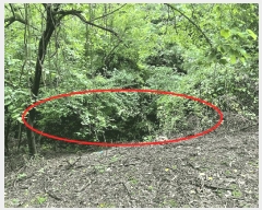  2025Ÿ��10163 ��� ��õ�� �ȳ��� ��縮 515      ����(��1)���