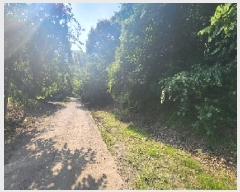  2025Ÿ��10163 ��� ��õ�� �ȳ��� ��縮 515      ����(��1)���