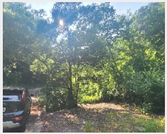  2025Ÿ��10163 ��� ��õ�� �ȳ��� ��縮 515      ����(��1)���