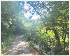  2025Ÿ��10163 ��� ��õ�� �ȳ��� ��縮 515      ����(��1)���