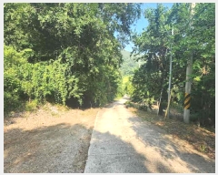  2025Ÿ��10163 ��� ��õ�� �ȳ��� ��縮 515      ����(��1)���