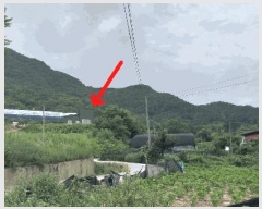  2025Ÿ��10184 ��� ��õ�� �̿��� ������ 337-1      ���ð��