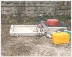  2025Ÿ��10184 ��� ��õ�� �̿��� ������ 337-1      ���ð��