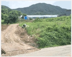  2025Ÿ��10184 ��� ��õ�� �̿��� ������ 337-1      ���ð��