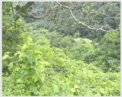  2025Ÿ��10186 ��� ��õ�� û���� ������ 122-3      ����(��1)���