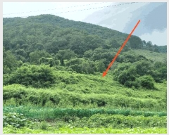  2025Ÿ��10186 ��� ��õ�� û���� ������ 122-3      ����(��1)���