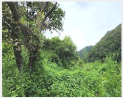  2025Ÿ��10186 ��� ��õ�� û���� ������ 122-3      ����(��1)���