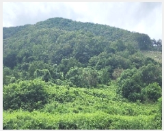  2025Ÿ��10186 ��� ��õ�� û���� ������ 122-3      ����(��1)���